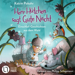 Katrin Pokahr: Herr Hütchen sagt Gute Nacht - Einschlaf-Geschichten aus dem Wald - Herr Hütchen, Teil 1 (Ungekürzt)