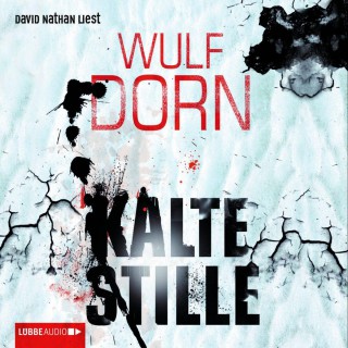 Wulf Dorn: Kalte Stille