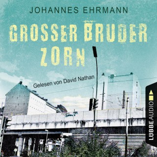 Johannes Ehrmann: Großer Bruder Zorn