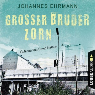 Johannes Ehrmann: Großer Bruder Zorn (Ungekürzt)