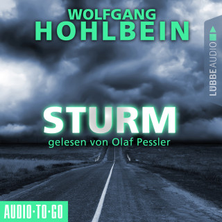 Wolfgang Hohlbein: Sturm (Gekürzt)