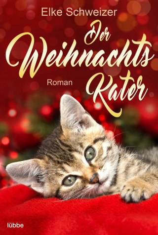 Elke Schweizer: Der Weihnachtskater