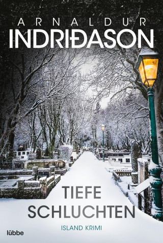 Arnaldur Indriðason: Tiefe Schluchten