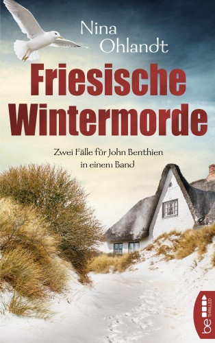 Nina Ohlandt: Friesische Wintermorde