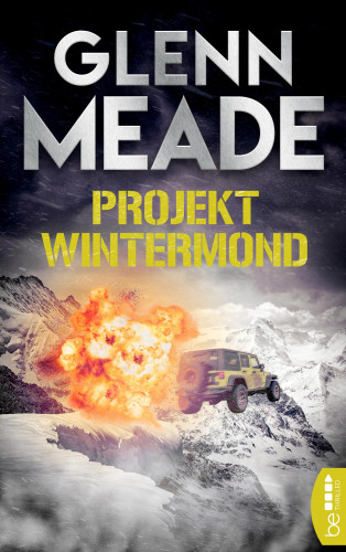 Glenn Meade: Projekt Wintermond