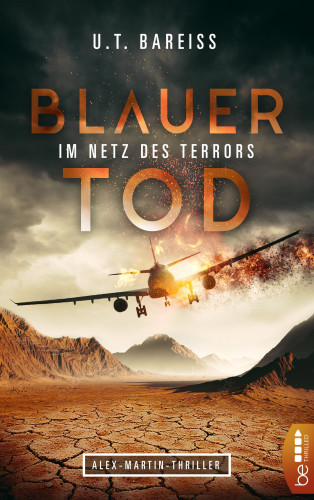 U.T. Bareiss: Blauer Tod - Im Netz des Terrors