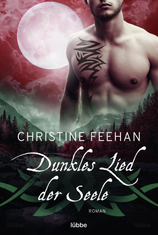 Christine Feehan: Dunkles Lied der Seele