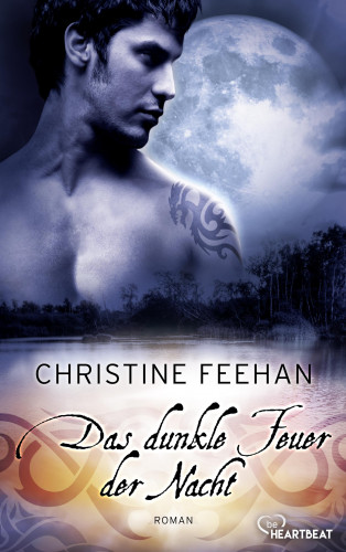 Christine Feehan: Das dunkle Feuer der Nacht