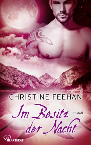 Christine Feehan: Im Besitz der Nacht