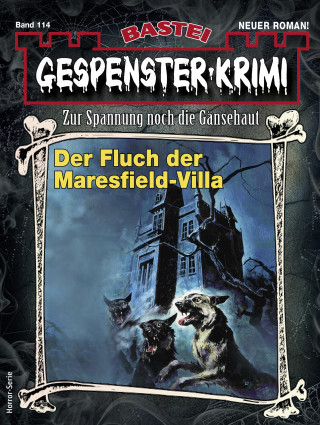 Camilla Brandner: Gespenster-Krimi 114