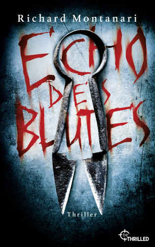 Richard Montanari: Echo des Blutes