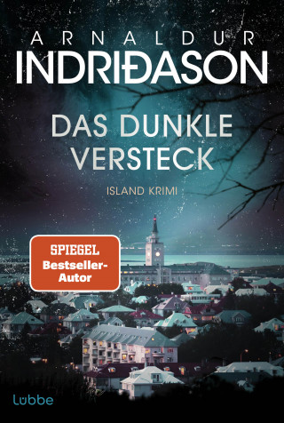 Arnaldur Indriðason: Das dunkle Versteck