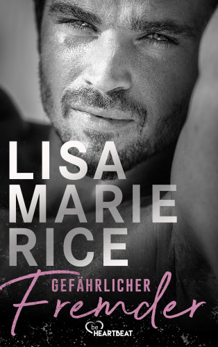 Lisa Marie Rice: Gefährlicher Fremder