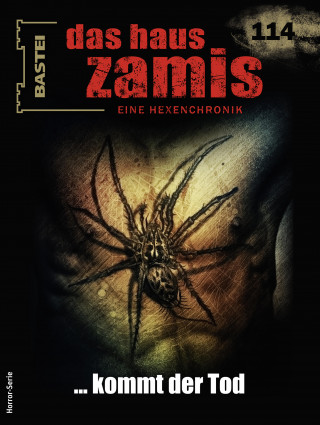 Rüdiger Silber: Das Haus Zamis 114