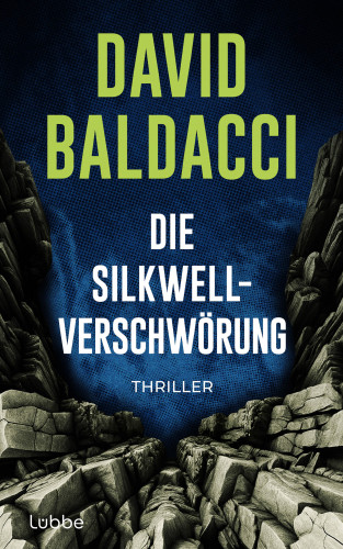 David Baldacci: Die Silkwell-Verschwörung