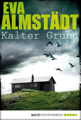 Eva Almstädt: Kalter Grund