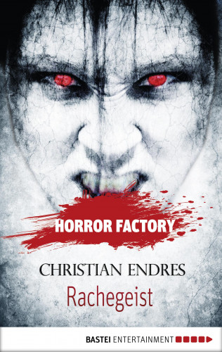 Christian Endres: Horror Factory - Rachegeist