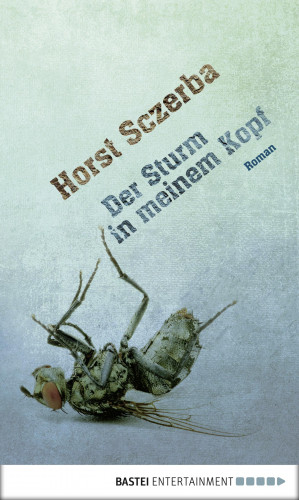 Horst Sczerba: Der Sturm in meinem Kopf