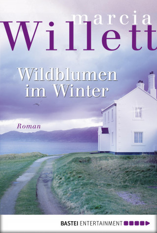 Marcia Willett: Wildblumen im Winter
