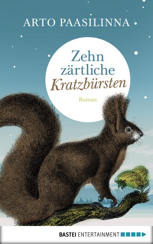 Arto Paasilinna: Zehn zärtliche Kratzbürsten