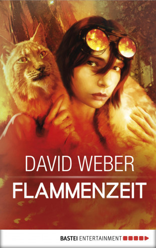 David Weber: Flammenzeit