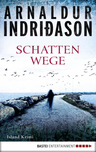 Arnaldur Indriðason: Schattenwege