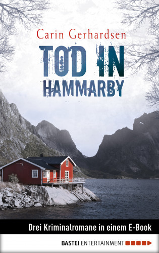 Carin Gerhardsen: Tod in Hammarby