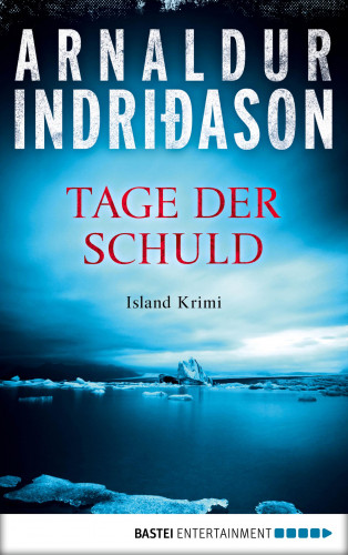 Arnaldur Indriðason: Tage der Schuld