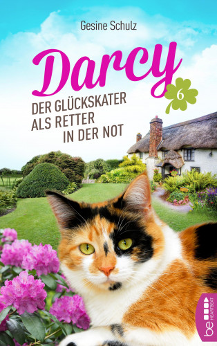 Gesine Schulz: Darcy - Der Glückskater als Retter in der Not