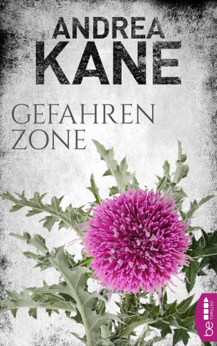 Andrea Kane: Gefahrenzone