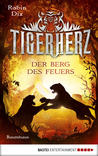 Robin Dix: Tigerherz - Der Berg des Feuers