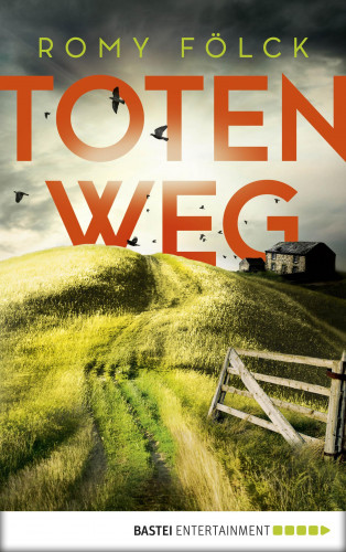 Romy Fölck: Totenweg