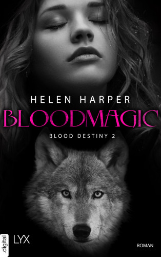 Helen Harper: Blood Destiny - Bloodmagic