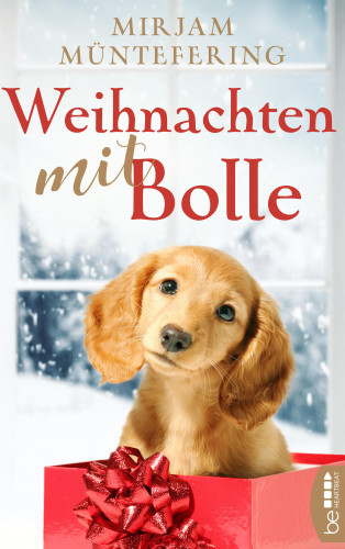 Mirjam Müntefering: Weihnachten mit Bolle