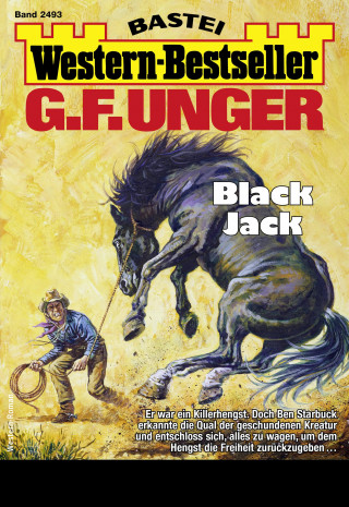 G. F. Unger: G. F. Unger Western-Bestseller 2493