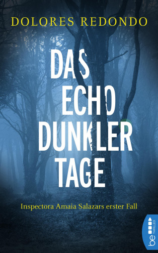 Dolores Redondo: Das Echo dunkler Tage