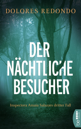 Dolores Redondo: Der nächtliche Besucher