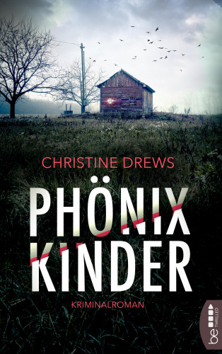 Christine Drews: Phönixkinder