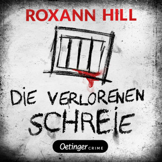 Roxann Hill: Storm & Partner 2. Die verlorenen Schreie