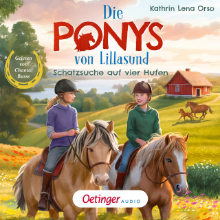 Kathrin Lena Orso: Die Ponys von Lillasund 2. Schatzsuche auf vier Hufen
