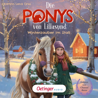 Kathrin Lena Orso: Die Ponys von Lillasund 3. Winterzauber im Stall
