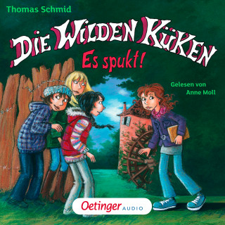 Thomas Schmid: Die Wilden Küken 4. Es spukt!