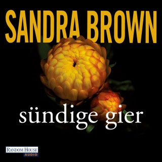 Sandra Brown: Sündige Gier