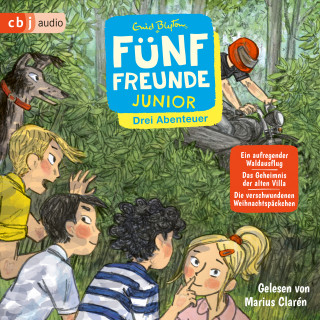 Enid Blyton: Fünf Freunde JUNIOR - Drei Abenteuer - Ein aufregender Waldausflug. Das Geheimnis der alten Villa. Die verschwundenen Weihnachtspäckchen