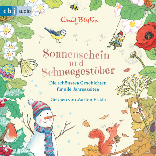 Enid Blyton: Sonnenschein und Schneegestöber – Die schönsten Geschichten für alle Jahreszeiten