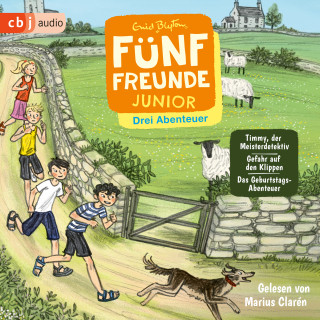 Enid Blyton: Fünf Freunde JUNIOR - Drei Abenteuer - Timmy, der Meisterdetektiv. Gefahr auf den Klippen. Das Geburtstags-Abenteuer