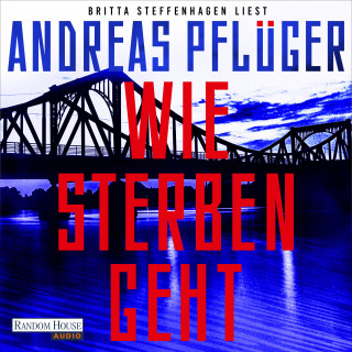 Andreas Pflüger: Wie Sterben geht