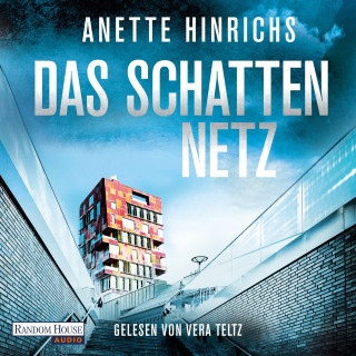 Anette Hinrichs: Das Schattennetz