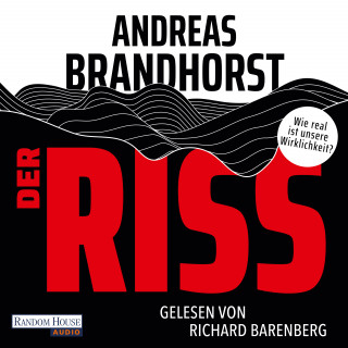 Andreas Brandhorst: Der Riss