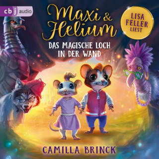 Camilla Brinck: Maxi & Helium – Das magische Loch in der Wand